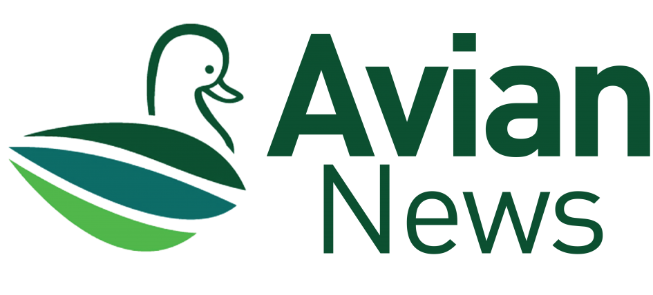 AVIAN NEWS EDISI MARET 2023